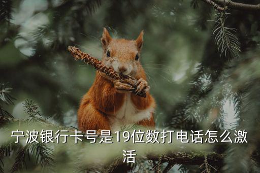 寧波銀行怎么激活碼，寧波市民卡怎么激活