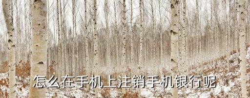 手機(jī)銀行卡怎么注銷，銀行卡手機(jī)能注銷嗎