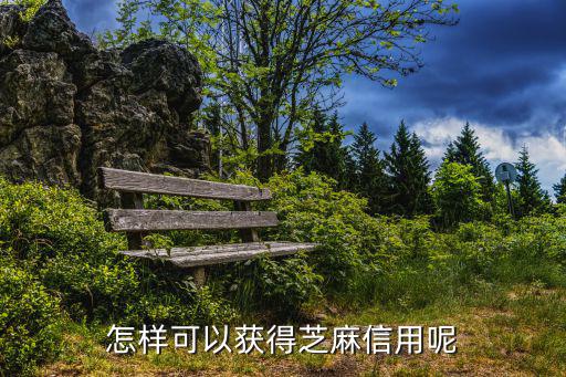 怎么免費刷芝麻信用卡嗎，信用卡怎么免費用啊