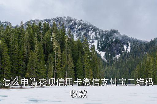 怎么申請(qǐng)花唄信用卡微信支付寶二維碼收款