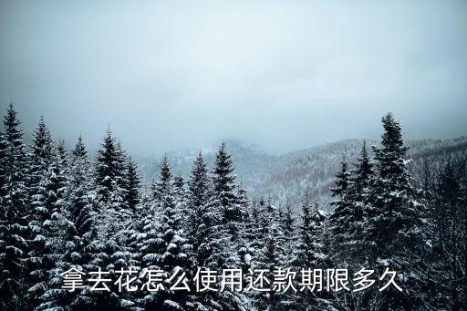 去哪網(wǎng)拿去花怎么分期，親們除了攜程的拿去花可以分期旅行請問還有沒有其他