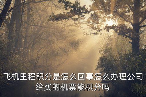 飛機(jī)里程積分是怎么回事怎么辦理公司給買的機(jī)票能積分嗎