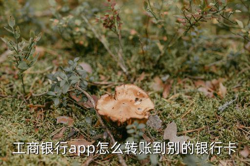 工商銀行app怎么轉(zhuǎn)賬到別的銀行卡