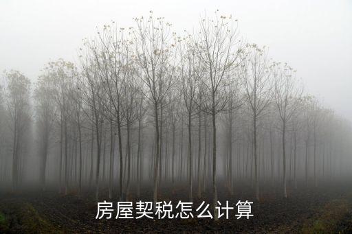 房屋契稅怎么計算