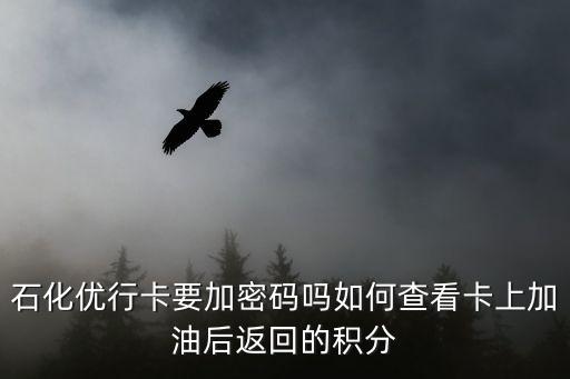 石化優(yōu)行卡要加密碼嗎如何查看卡上加油后返回的積分