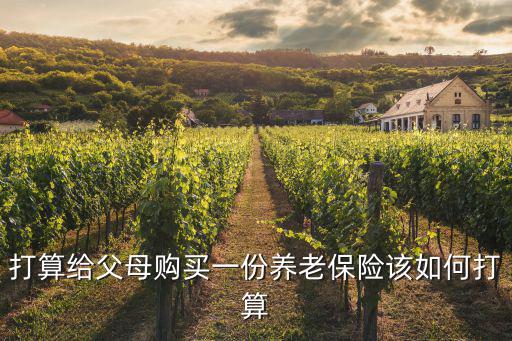 打算給父母購買一份養(yǎng)老保險該如何打算