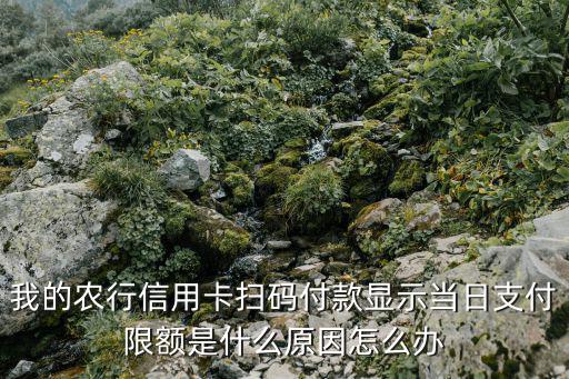 我的農(nóng)行信用卡掃碼付款顯示當(dāng)日支付限額是什么原因怎么辦