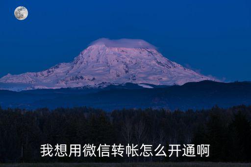 怎么設(shè)置微信轉(zhuǎn)帳功能嗎，我想用微信轉(zhuǎn)帳怎么開通啊