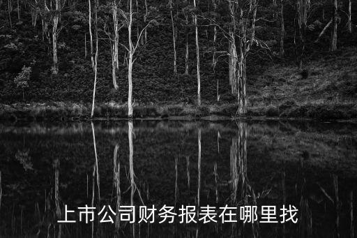上市公司財務報表在哪里找