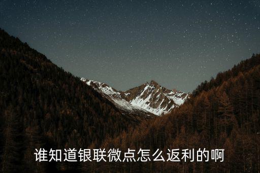 誰(shuí)知道銀聯(lián)微點(diǎn)怎么返利的啊