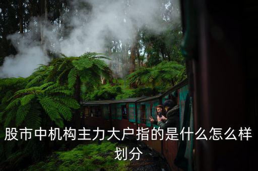 炒股主力怎么定義，股市中機構(gòu)主力大戶指的是什么怎么樣劃分