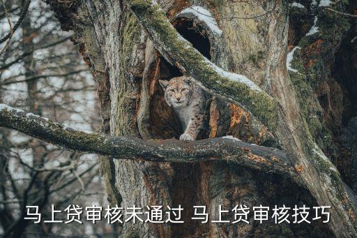馬上貸審核未通過 馬上貸審核技巧