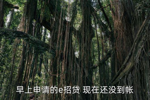 早上申請(qǐng)的e招貸 現(xiàn)在還沒(méi)到帳