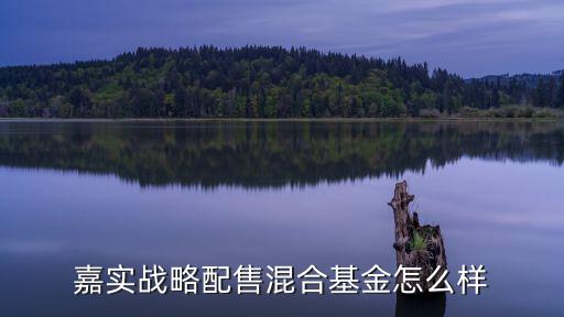 嘉實(shí)策略怎么樣，嘉實(shí)策略增長如何