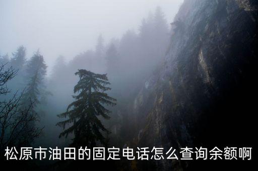 電話怎么查油卡余額，查詢加油卡余額