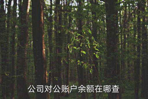 公司對(duì)公賬戶余額在哪查
