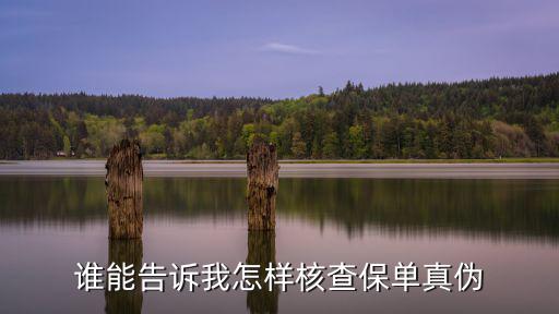 怎么查保險(xiǎn)真假，誰能告訴我怎樣核查保單真?zhèn)?/></a></span><span id=