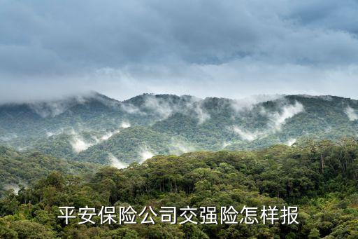 平安保險(xiǎn)公司交強(qiáng)險(xiǎn)怎樣報(bào)