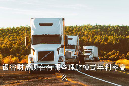 銀谷財(cái)富現(xiàn)在有哪些理財(cái)模式年利率高么