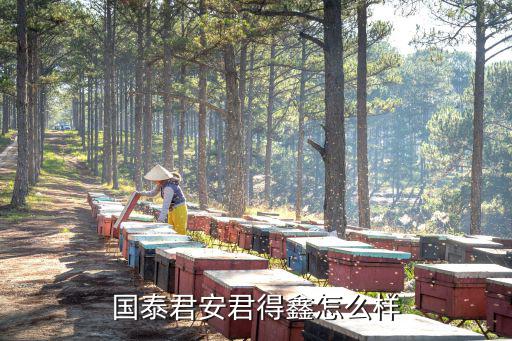 國(guó)泰君安君得鑫怎么買(mǎi)，國(guó)泰君安君得鑫怎么樣
