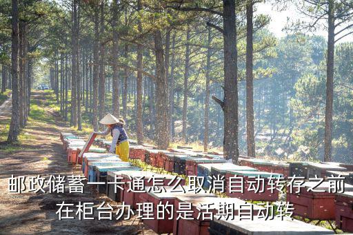 自動轉存到期怎么取消嗎，郵政儲蓄一卡通怎么取消自動轉存之前在柜臺辦理的是活期自動轉