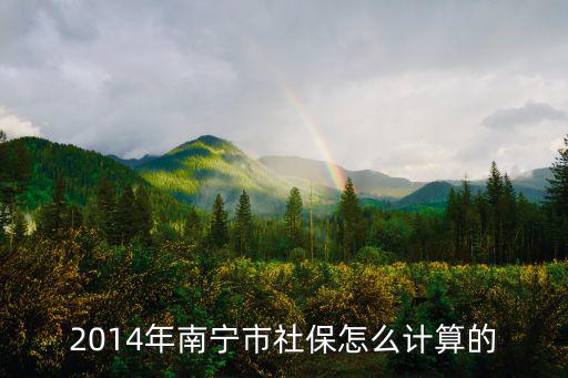 南寧五險繳納怎么計算器，南寧市的五保怎么算
