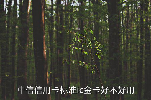 中信信用卡標(biāo)準(zhǔn)ic金卡好不好用