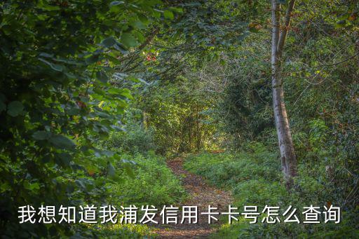 我想知道我浦發(fā)信用卡卡號怎么查詢