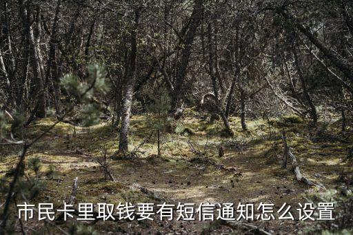 市民卡里取錢要有短信通知怎么設(shè)置