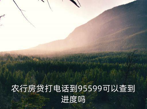 農(nóng)行房貸打電話到95599可以查到進(jìn)度嗎