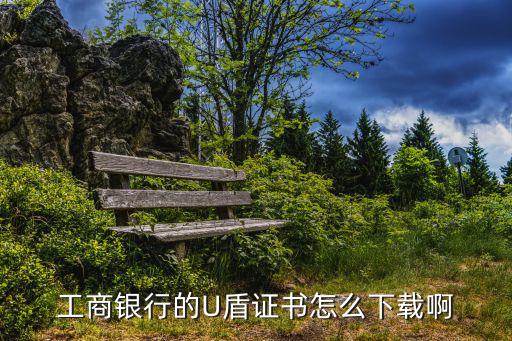 工商銀行的U盾證書怎么下載啊