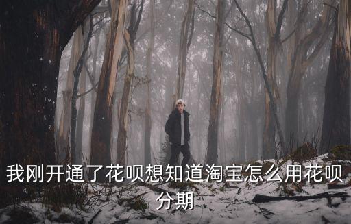花吧分期怎么用，花唄購物怎么分期