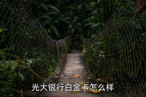 光大銀行白金卡怎么樣