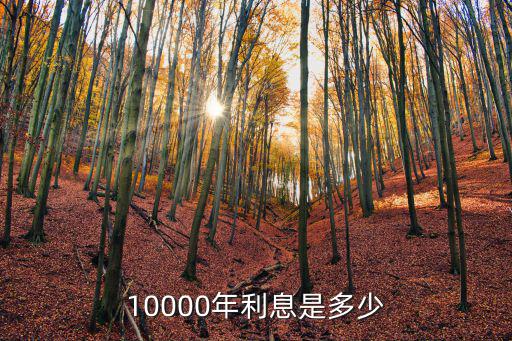 10000銀行利息怎么算，10000年利息是多少