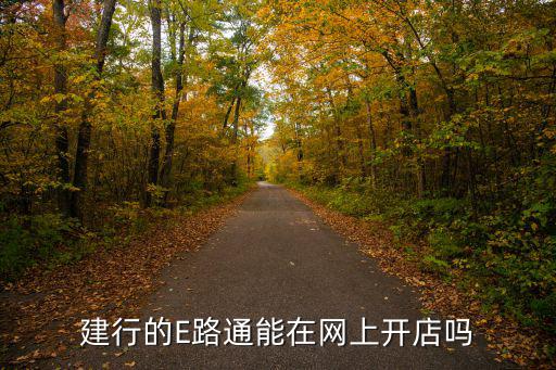 建行的E路通能在網(wǎng)上開店嗎