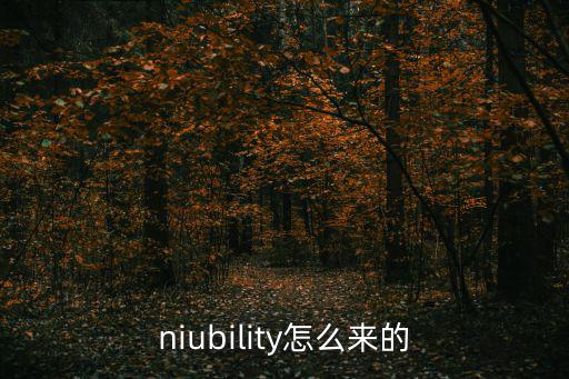 niubility怎么來的