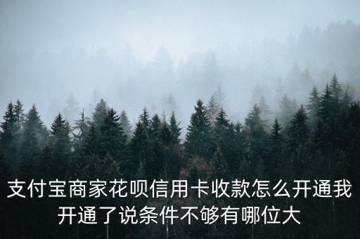 支付寶商家花唄信用卡收款怎么開(kāi)通我開(kāi)通了說(shuō)條件不夠有哪位大