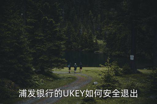 浦發(fā)銀行的UKEY如何安全退出