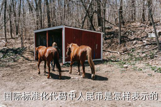 愛彼迎怎么顯示人民幣，國(guó)際標(biāo)準(zhǔn)化代碼中人民幣是怎樣表示的