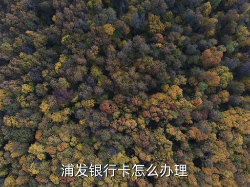 浦發(fā)銀行卡怎么辦理