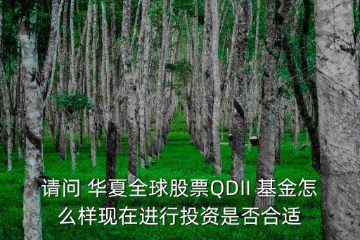 華夏全球股票怎么樣，華夏成長(zhǎng)000001基金未來(lái)的發(fā)展怎樣
