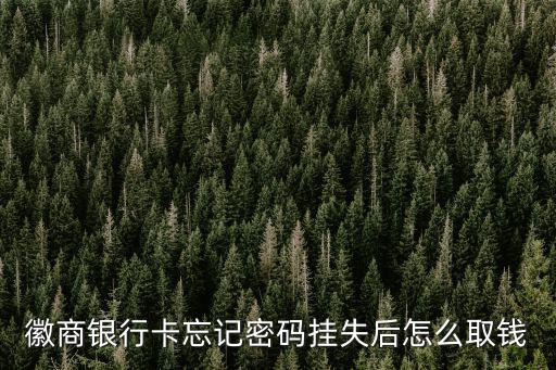 徽商銀行卡忘記密碼掛失后怎么取錢