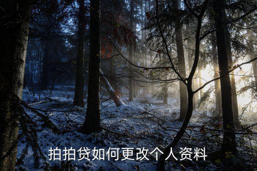 拍拍貸如何更改個(gè)人資料