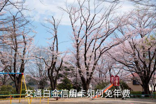 交通白金卡怎么免，交通白金信用卡如何免年費(fèi)