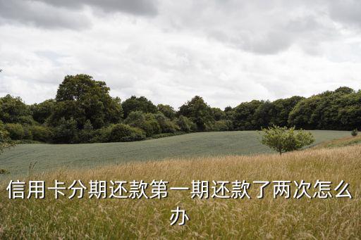 還貸款還了兩次怎么辦，我應(yīng)該是12月2號還款的但是我今天還款了結(jié)果不小心還款了兩次