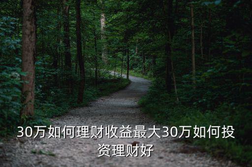 30萬如何理財(cái)收益最大30萬如何投資理財(cái)好
