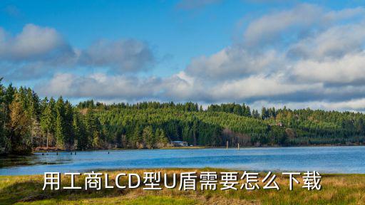 用工商LCD型U盾需要怎么下載