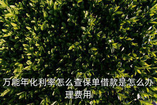 萬能年化利率怎么查保單借款是怎么辦理費(fèi)用
