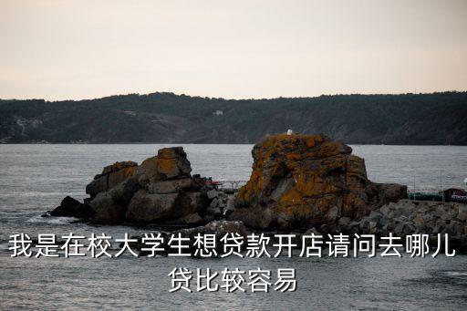 我是在校大學(xué)生想貸款開(kāi)店請(qǐng)問(wèn)去哪兒貸比較容易