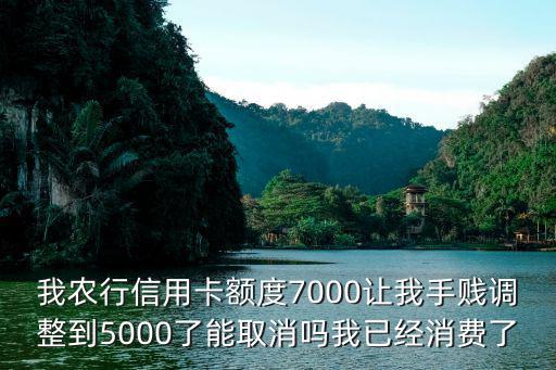 我農(nóng)行信用卡額度7000讓我手賤調(diào)整到5000了能取消嗎我已經(jīng)消費了